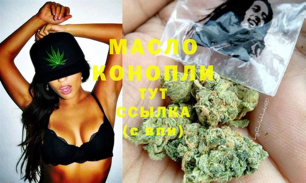 тгк Абаза