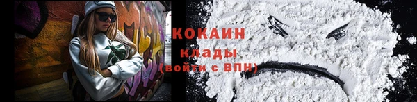 шишки Абинск