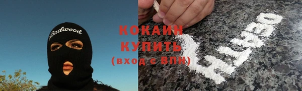 тгк Абаза