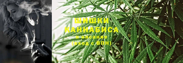 шишки Абинск