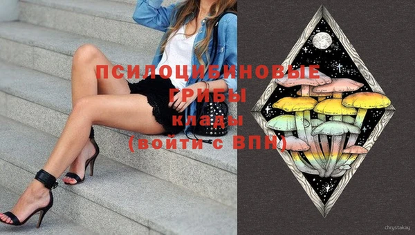 тгк Абаза