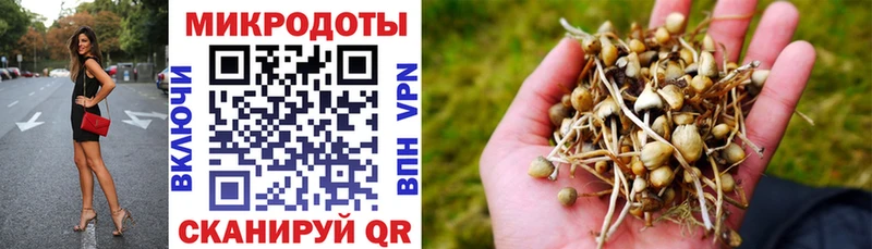 наркота Грязи дарк нет официальный сайт Псилоцибиновые грибы прущие грибы