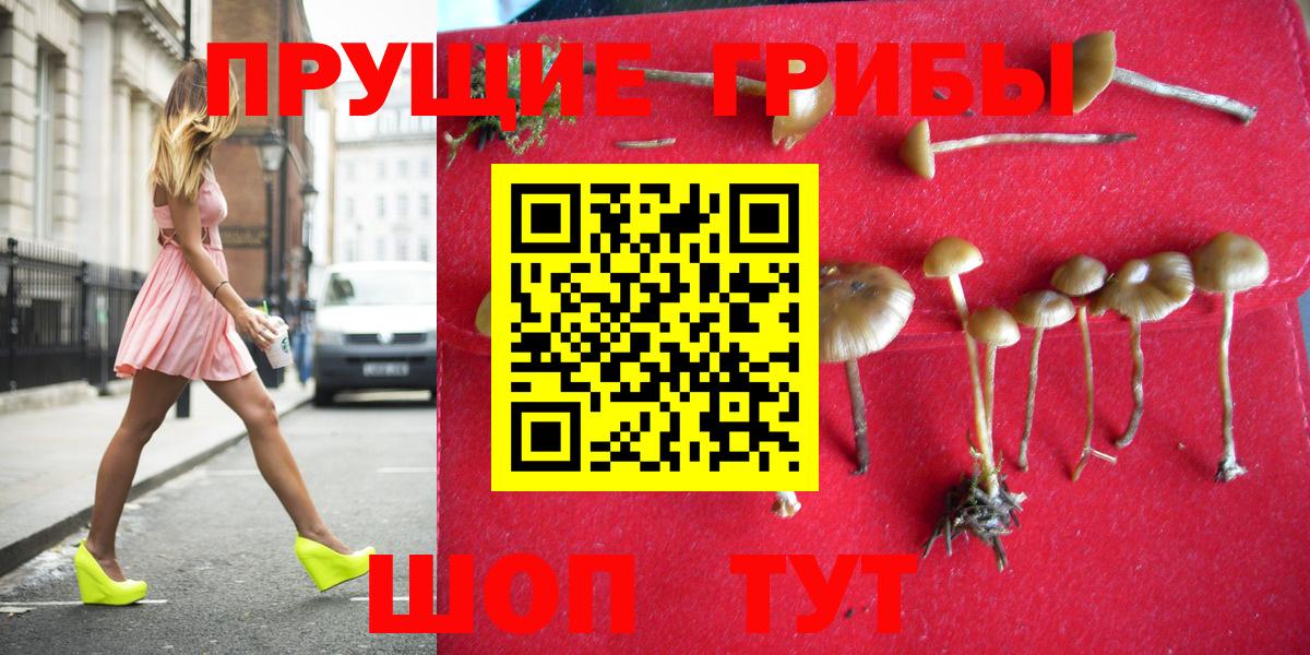 Галлюциногенные грибы Magic Shrooms  Вход с VPN  дарнет шоп  Галлюциногенные грибы Psilocybe  Грязи 