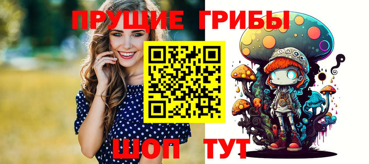 Галлюциногенные грибы Psilocybe Грязи
