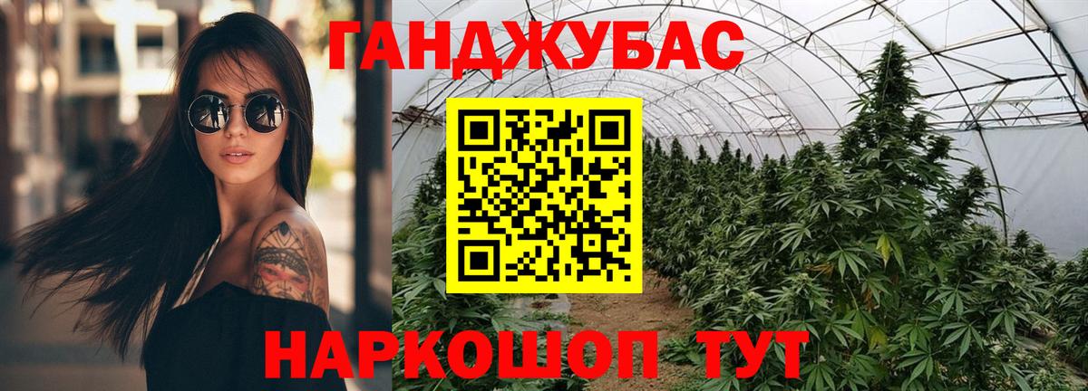 Бошки Шишки VHQ  Вход с VPN  Грязи  Бошки Шишки индика  Бошки Шишки планчик 